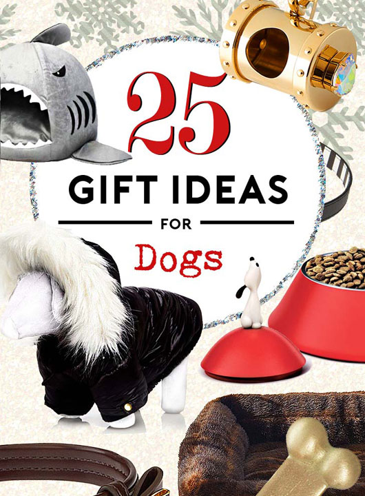 holiday gift ideas for dogs